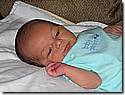 IMG_4536.JPG IMG_4536.JPG