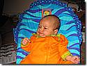 IMG_4555a.JPG IMG_4555a.JPG