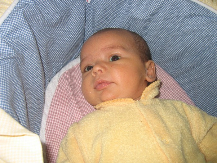 IMG_4642a.JPG