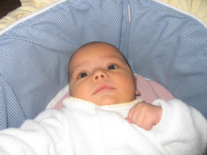 IMG_4652a.JPG