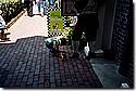 CD1_004.jpg CD1_004.jpg