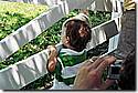 CD1_023.jpg CD1_023.jpg
