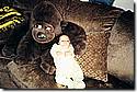 CD3_025.JPG CD3_025.JPG