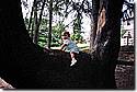 CD4_018.jpg CD4_018.jpg