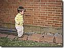 IMG_0810.JPG IMG_0810.JPG