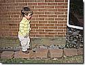IMG_0811.JPG IMG_0811.JPG