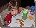 IMG_1095.JPG IMG_1095.JPG