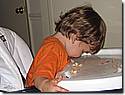 IMG_1104.JPG IMG_1104.JPG