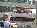 IMG_1133.JPG IMG_1133.JPG