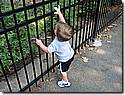 IMG_1138.JPG IMG_1138.JPG