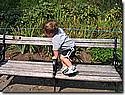 IMG_1139.JPG IMG_1139.JPG