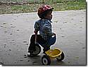 IMG_1178.JPG IMG_1178.JPG