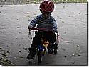 IMG_1179.JPG IMG_1179.JPG