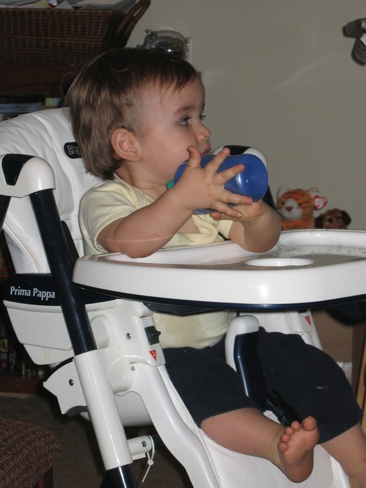 Picture002.jpg
