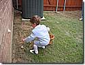 IMG_0680a.JPG IMG_0680a.JPG