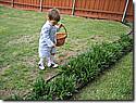 IMG_0684a.JPG IMG_0684a.JPG