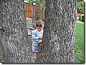 IMG_0686a.JPG IMG_0686a.JPG