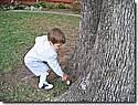 IMG_0688a.JPG IMG_0688a.JPG