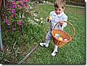 IMG_0689a.JPG IMG_0689a.JPG