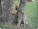 IMG_0692a.JPG IMG_0692a.JPG