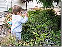 IMG_0696a.JPG IMG_0696a.JPG