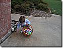 IMG_0697a.JPG IMG_0697a.JPG