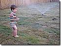 IMG_2383.JPG IMG_2383.JPG