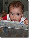 IMG_9681.JPG IMG_9681.JPG