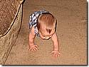 IMG_9731.JPG IMG_9731.JPG