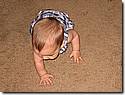 IMG_9732.JPG IMG_9732.JPG