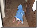 IMG_9741.JPG IMG_9741.JPG