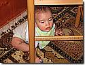 IMG_9767.JPG IMG_9767.JPG