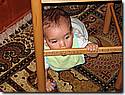 IMG_9768.JPG IMG_9768.JPG