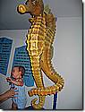 IMG_9781.JPG IMG_9781.JPG