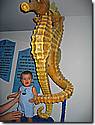 IMG_9782.JPG IMG_9782.JPG