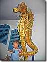 IMG_9783.JPG IMG_9783.JPG