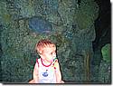 IMG_9786.JPG IMG_9786.JPG