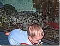 IMG_9788.JPG IMG_9788.JPG