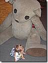 IMG_9794.JPG IMG_9794.JPG