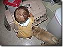 IMG_9877.JPG IMG_9877.JPG