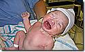 IMG_0031a.JPG IMG_0031a.JPG
