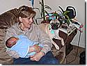IMG_4429.JPG IMG_4429.JPG