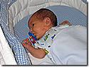 IMG_4435.JPG IMG_4435.JPG
