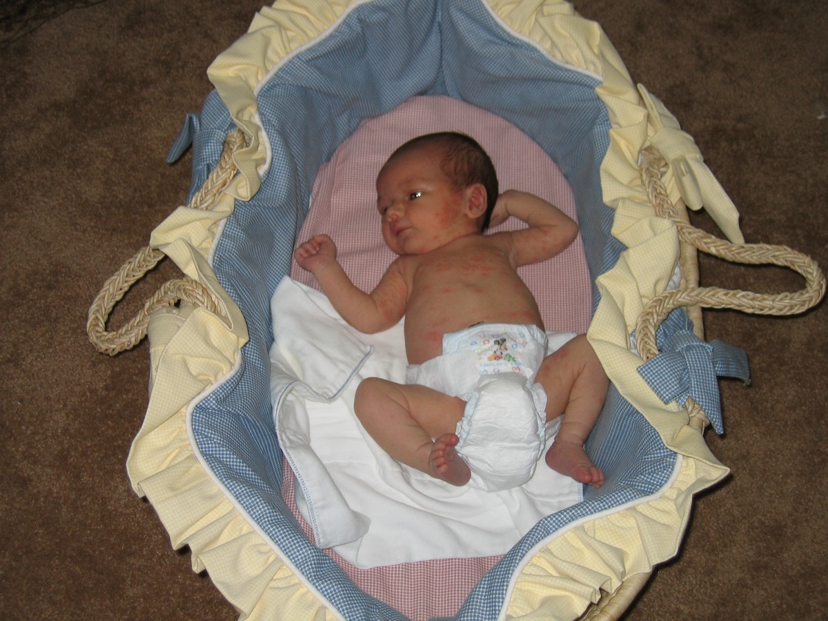 IMG_4444.JPG