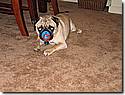 IMG_4465.JPG IMG_4465.JPG