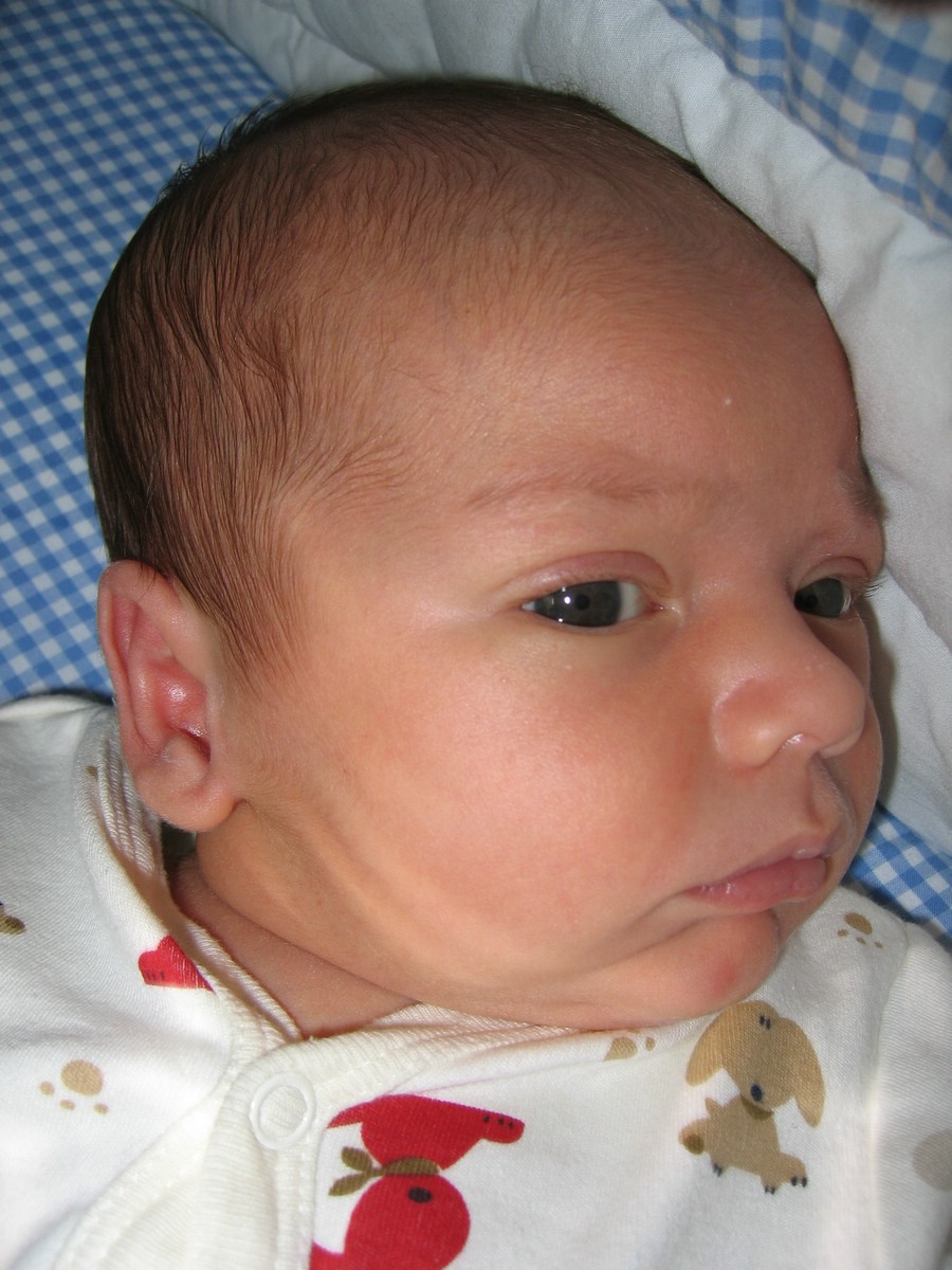 IMG_4470.JPG