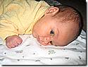 IMG_4499a.JPG IMG_4499a.JPG