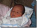 IMG_4504.JPG IMG_4504.JPG