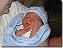 IMG_4520.JPG IMG_4520.JPG
