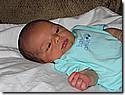 IMG_4534.JPG IMG_4534.JPG